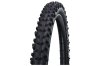 SCHWALBE Reifen DIRTY DAN Evo, Super Gravity, TLE