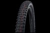 SCHWALBE Reifen HANS DAMPF Evo, Super Gravity, TLE