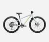 ORBEA MX 24 TEAM DISC Halo Silver-Spicy Lime