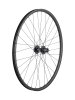 Bontrager Wheel Rear Bontrager Kovee TLR/DCL-141Q 29 Disc 32