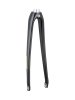 Trek Fork Rigid Trek Domane AL2 53R Matte Black/Carbon