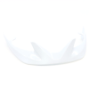 Giro Register Visor one size white/silver