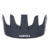 Giro Coalition Visor S black